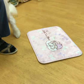 ポコ編。の画像