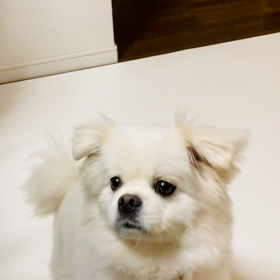 今年もありがとうございました！の画像