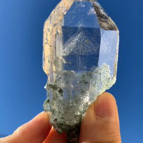 7年目を迎えました。の画像