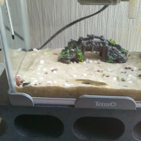 その後。の画像