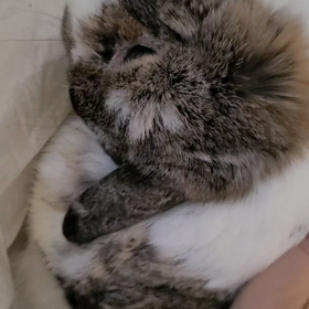 少し落ち着きました。の画像