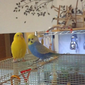 いちゃいちゃ♪の画像