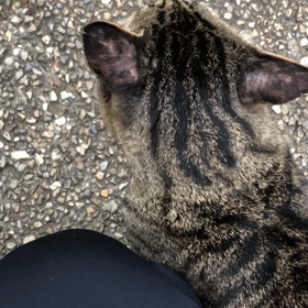 誘惑に負けたの画像