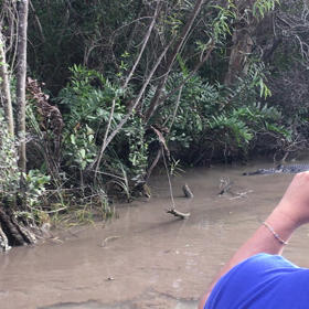 マイアミの画像