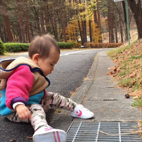 今日の娘動画の画像