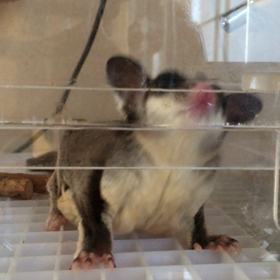 それちょーだいよ！の画像