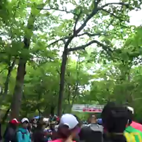 ミミズも出たけど・・・の画像