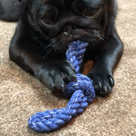 ガシガシ。。。。の画像