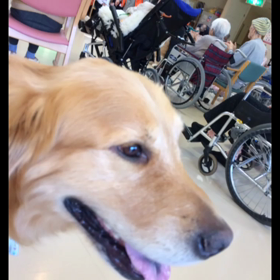 セラピー行って来ました^ ^の画像