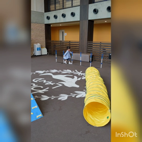 嬉しい火曜日の画像