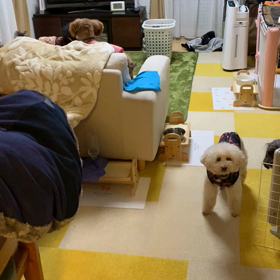 楽しい〜(*≧∀≦*)の画像