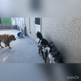 先日のふれあい！の画像