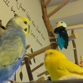 食レポですか？の画像