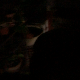 もう秋？の画像