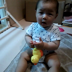 アヒルさんに大興奮の画像