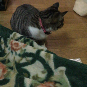 今日も元気の画像