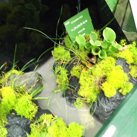 動画色々２の画像