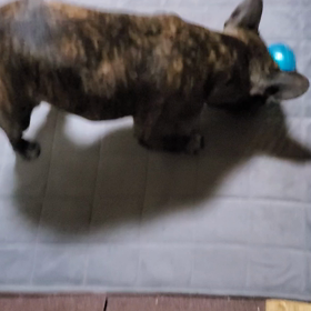 メンタルクリニック受診の画像