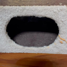 めいさんの画像