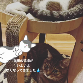 2023/11/24の画像