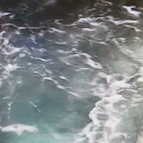 イッテQ&マンボウ…の画像