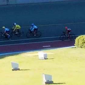 子アシカのぶつぶつ一人言？の画像