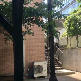 風のあることが救いの画像