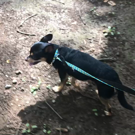 ♪お散歩動画♪代々木公園♪の画像