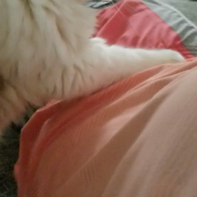 *もみもみ・・・*の画像