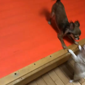 仲良し親子の画像