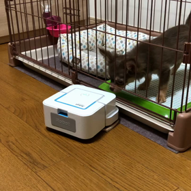 トランプさんよりワンコの画像