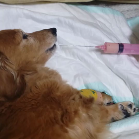 午後になって…の画像