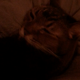 一心不乱の画像