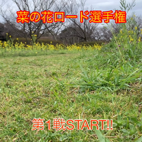 菜の花ロード選手権の画像