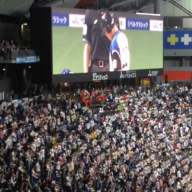 鶴ちゃんの画像