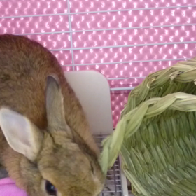 まだまだ工事中の画像