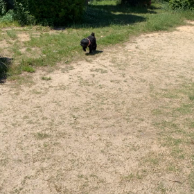 自粛解禁したあたいの画像