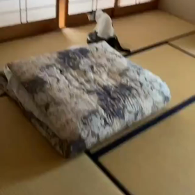 速報サーファーデビューの画像