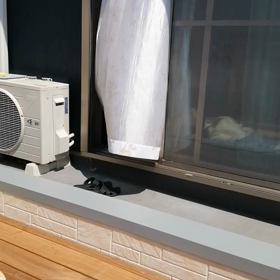 どうしてもの画像