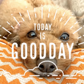 ありがとうございました♫の画像