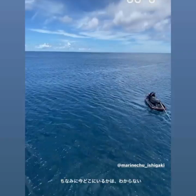 海人石垣島の画像