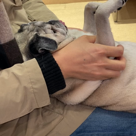 もうこんな季節。の画像