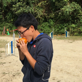 桃栗三年柿八年 その2の画像