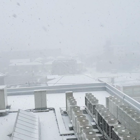 NO９　 膵がんの病状報告　　久々のブログの画像