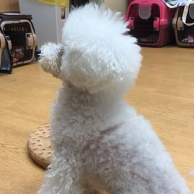 ルイ編。の画像