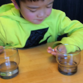 飲み薬が苦手なこーちゃんの画像