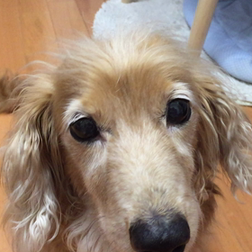 今日のパッチ♪ 動画の画像