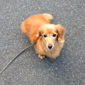 スパイク兄さん  Part２の画像