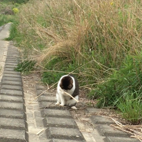 マジ戦争勘弁！の画像