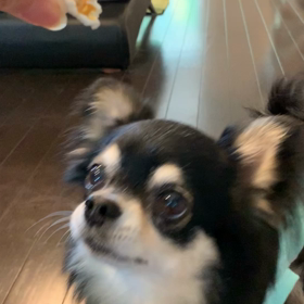 ポップコーンパーティ♡の画像